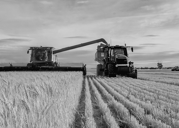 Combine harvester and tractor operating in a grain field, representing the agricultural sector served by BRP Spruce Pine